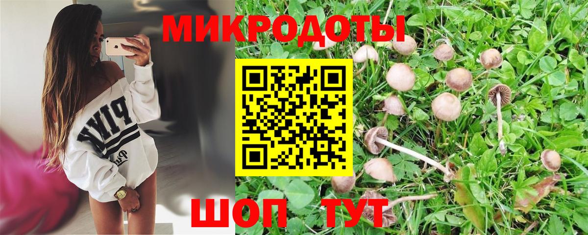 Унеча  Галлюциногенные грибы Psilocybine cubensis  Вход с VPN 