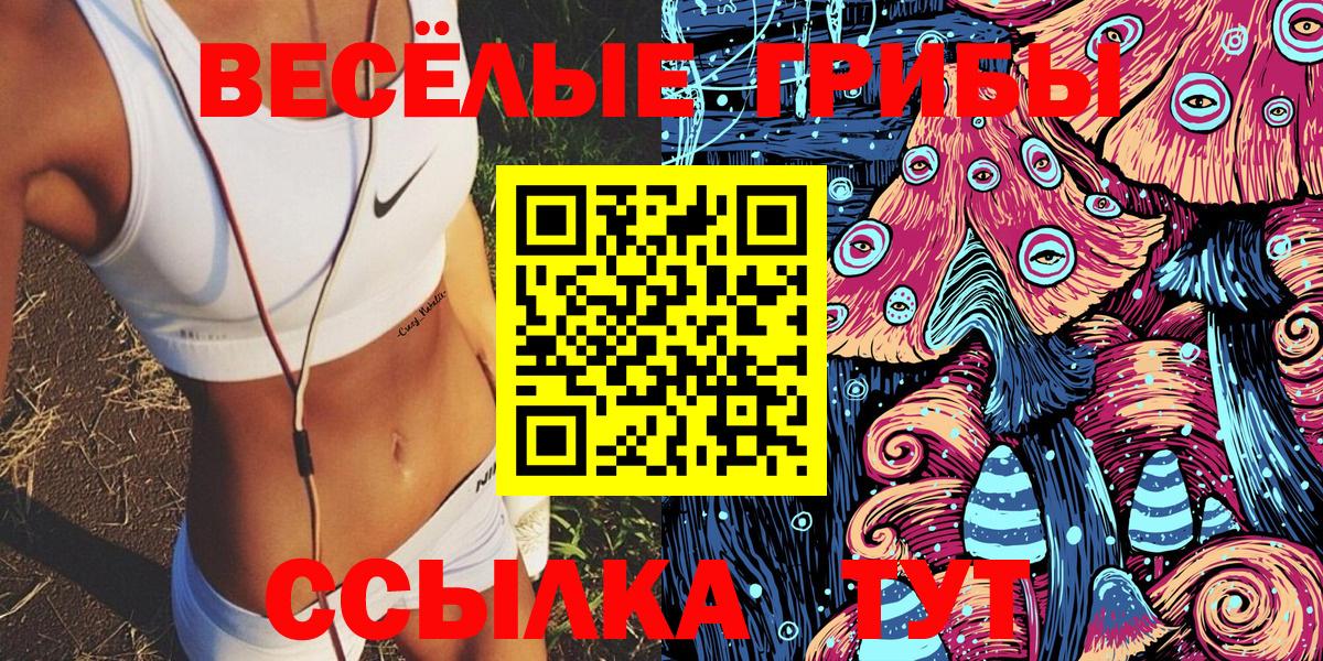 Галлюциногенные грибы Psilocybine cubensis Унеча